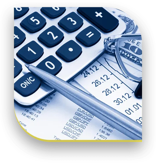 Professional Tax Preparation Services at Booboo Accounting Richmond Hill
